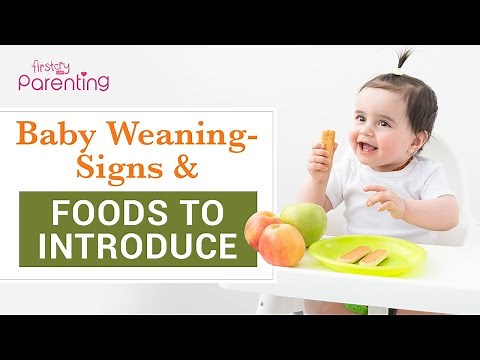 Baby Weaning - Signs and Foods to Introduce