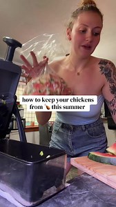 How to Keep Chickens from Pecking Bones This Summer