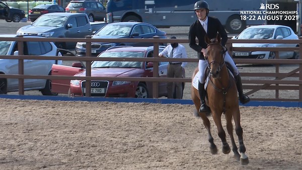 3.2K views · 40 reactions | Daniel Fitzgerald & Queen of Dancing BW won Wednesday's 6yo RDS Qualifier at the Meadows Equestrian Centre. The bay mare is by Emerald Van’t Ruytershof, out of Dancing Queen Z, by Dulf van de Bisschop, bred by Ballywalter Bloodstock, and owned Niall Carey | Dublin Horse Show | Facebook