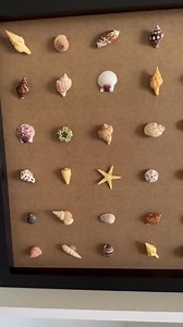 Seashell Art in Black Wood Frame - Coastal Beach Decor - Etsy