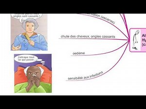 les protides - carte mentale vidéo - bac pro ASSP 2nde - mind mapping