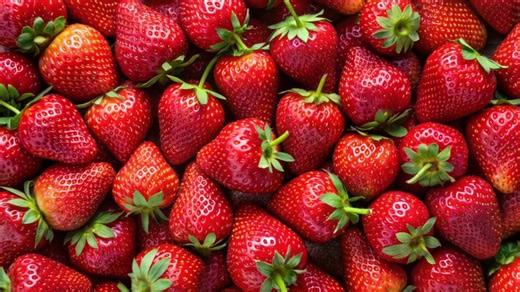 Dyson’s ‘ferris-wheel’ vertical growing system boosts strawberry yields by 250%