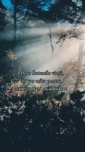 45K views · 777 reactions |  | Străinul¹3 | Facebook