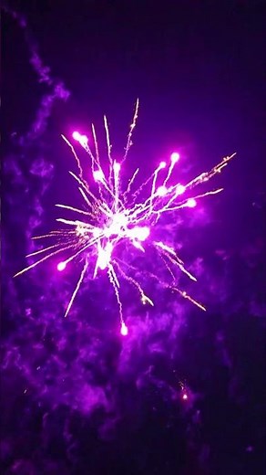 Pyroland Delicious Dragon #pyro #fireworks