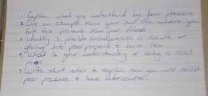 Explain what you understand by peer pressure.Give an example f... | Filo