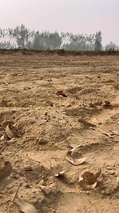 2M views · 67K reactions | Akeela ke bunde part 2藍#fukreyboyz0 Get...