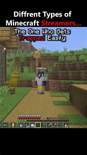 Types of Minecraft Streamers #usa