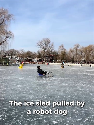 Robot dogs have a new job — sled dogs. 🤖❄️🐕 At Beijing’s Shichahai Ice Rink, visitors can ride sleds pulled by robotic dogs across the frozen lake — a real-life sci-fi winter experience. #RobotDogs #Beijing #Shichahai #FutureLife #ChinaVibes