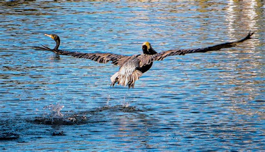 Photography for Beginners | Don't laugh,I'm just getting started, definitely open to criticism | Facebook