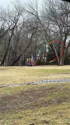 Almost only counts in horseshoes and atomic bombs #discgolf #discgolfdaily #aceoftheday