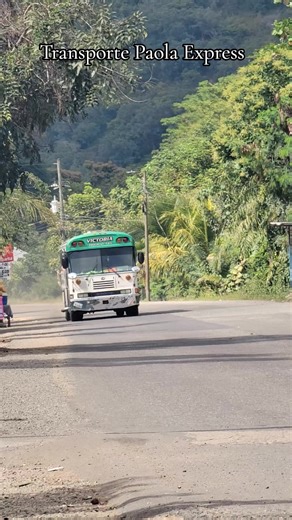 Transporte Paola Express y Blue Bird: Un Viaje por Honduras