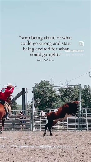 Ranch Rodeo #roping #cattle #cowboy #ranchhorse #ranch #cowboying #wifeofacowboy #horse