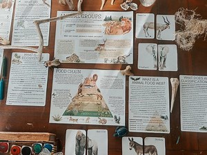 Animal Classification Study Worksheets for Kids - Pdf Printable Montessori Science, Biology Learning Pages (digital Download) - Etsy Canada