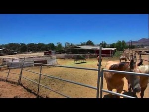 10001 Limonite Ave, Mira Loma, CA 92509 - Jurupa Valley