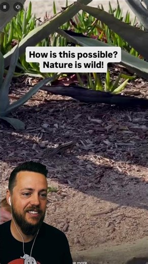 lizards are breathing fire?!