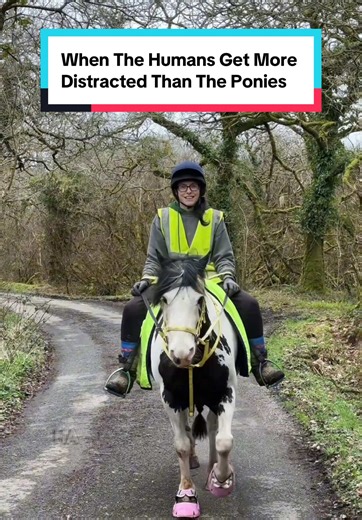 Exploring Nature on Horseback Adventures