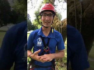 Work Positioning for Safety Webinar with Craig Bachman - TreeStuff