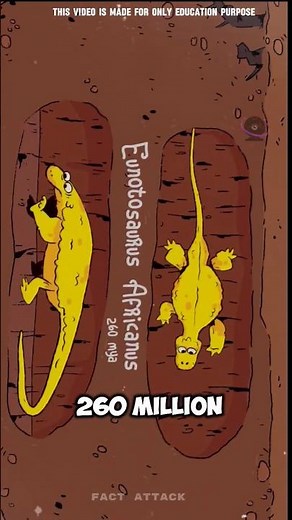 Can Turtles Feel Their Shell? The Surprising Truth! #facts