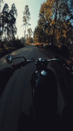 🌲🏍️🍂 🏁 #RoyalEnfield | 🏍️ #interceptor650 | #jaliscomexico 🇲🇽 | #gopromx 🎥 | . . . . . #motoCDMX #bikelife #royalenfieldmexico #royalenfieldriders #royalenfieldtequila #royalenfieldlovers #motosmexico #motorcycleadventures #paseoenmoto #continentalgt650 #motorcyclesound #motociclista #triumphmotorcycles #guadalajarafotos #motosgdl #royalbikes #motorcycleride #triumph_bikes_insta #tripmachine #hjchelmets #churchillgloves #triumphmotorcycles #DJIMic2 #motorbike #royalenfieldgdl #motoherita
