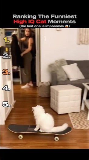Ranking The Smartest Cats Ever🧠🐱 #smart #catshorts #funnycats #viral