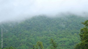 Clouds moving above the hills at Saputara hill station in Gujarat, India. Clouds move above the lush green Sahyadri hills during the monsoon season. Clouds above mountains in rainy season.