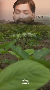 455K views · 17K reactions | . #farmers #farminglife #farmerproblems #farmerlife #farmerslife #farming #fyp #reelitfeelit #fbreels2025ツ #khetivlogs | Kheti Vlogs MP40 | Facebook