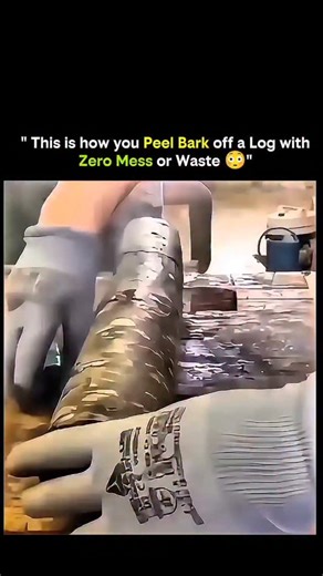 KNOWLEDGE HUB on Instagram: "This is how you peel bark off a log with zero mess or waste 🪵⚙️ Instead of cutting or grinding, this method uses a log debarking tool that follows the natural grain of the wood. The blade lifts the bark in smooth strips, keeping the surface clean while preserving the wood underneath. No chips, no dust — just controlled peeling through leverage and edge geometry. Woodworkers use this technique to prepare logs for furniture, beams, carving, and construction, while kee