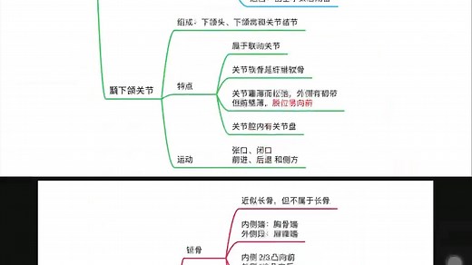 解剖学基础运动系统思维导图