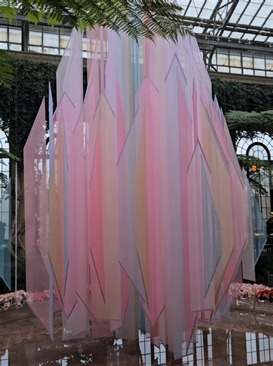 Exploring Colorful Art Installations with Plants