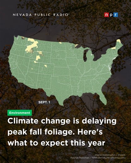 330K views · 10K reactions |  Read the full story:...