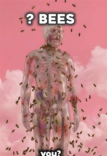 How Many Bees Could End You? 🐝 #interesting #facts #nature | bee sting