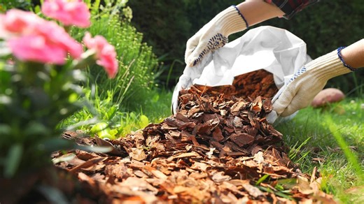 10 Benefits To Using Wood Chips For Mulch