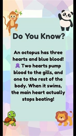 This Animal Fact Will Surprise You! #animalknowledge #animalfacts