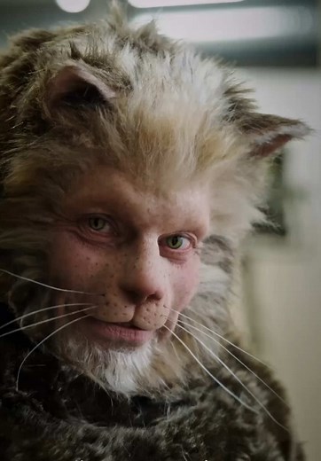 Unraveling the Legend of the Icelandic Yule Cat