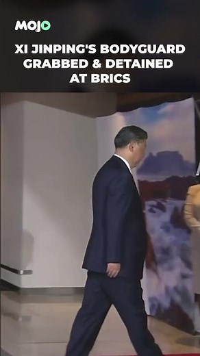 Viral Video: Xi Jinping's Bodyguard Grabbed & Detained As He Tries To Enter BRICS Summit #shorts