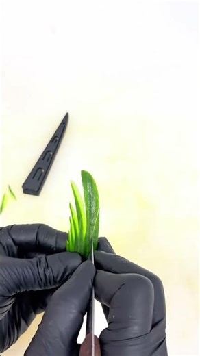 Easy Cucumber Carving for Beginners Step by StepBeautiful Cucumber Carving Ideas for Decoration