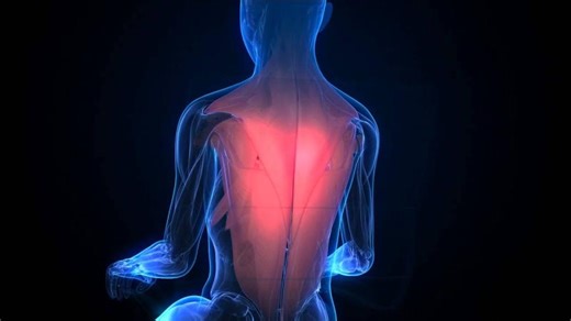 Progressive Muscle Relaxation Training | Jennifer P.