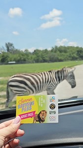 201 reactions · 44 shares | The Summer Savings Pass is your ticket to adventure all summer long with us AND Zoo Miami, Cox Science Center and Aquarium and Everglades Alligator Farm! Get yours now! | Lion Country Safari | Facebook