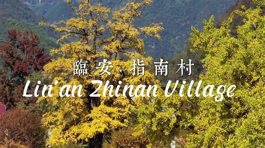 🥰📸Zhinan village in Lin'an district is showing off its seasonal charm! 🏘️Sitting nearly 600 meters above sea level and covered by over 93% forest, Zhinan village is known among outdoor enthusiasts as the "most beautiful ancient village in East China". 🍂🍁Golden ginkgo leaves, fiery red maples, and layered terraced fields create a captivating scene. #BeautifulHangzhou #AutumnVibes | Hangzhoufeel