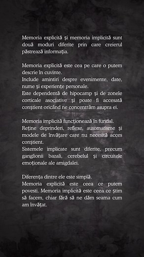 Andreea Neicu on Reels