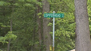 Va. man hospitalized after using exploding target Tannerite