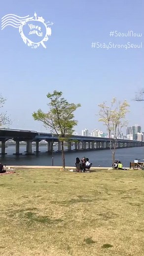 1min picnic at Hangang Park #seoulnow #staystrongseoul #showmeyourseoul #hangangpark #hongdae #sinchon #yeouidopark #spring #nationalassembly #picnic
