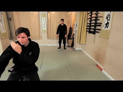 What Is Jutsu & Taijutsu? | Ninjutsu Lessons
