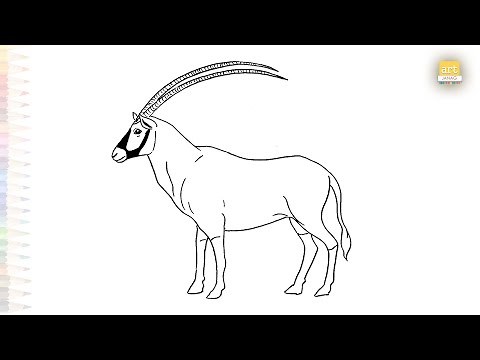 Arabian Oryx drawing easy | Art tutorial | How to draw white Oryx step by step easily #artjanag