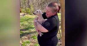 18-year-old dog missing for three years reunited with owner