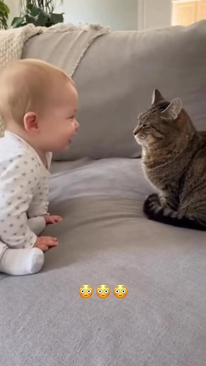 THE CAT WILL SCRATCH!!! 😳 | The Grandparent’s Club