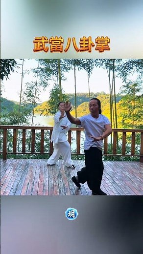 武當八卦掌 父女倆練拳 就要整整齊齊 Baguazhang wudang martial arts Tai chi Tutorial