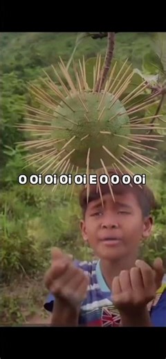 Oiii O Oi Oi Oi Oi E O Oh Oh Oii #funny #memes #memesvideo #meme #oioioi