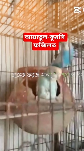 আয়াতুল কুরসি ফজিলত #viralsortvideo