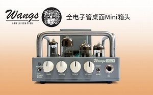 WANGS MINI 5全管箱头测试